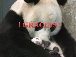 Desafío del proceso de aseguramiento en salud en la gestión de medicamentos y agenda pendiente