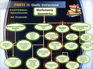 CONTENIDO:  Estructuración  del  Contenido  PARTE II:  Diseño Instruccional Morfometría  Geométrica Análisis del procesamiento  Morfometrico A.4 PATRONES DE COLORACIÓN Y MERISTICA  A.2 VALORAR LA IMPORTANCIA  DE LA  APLICACIÓN DE  LA morfometría  GEOMETRICA A.1.2 morfometría  GEOMETRICA A.1.1 IDENTIFICACIÓN DE LAS ÁREAS DE APLICACIÓN  DE LA morfometría  GEOMETRICA  A.1.3 IDENTIFICACIÓN DE  LOS PATRONES DE  COLORACIÓNY  DE LA FORMA  EXTERNA CORPORAL  A.2.2 -PATRONES DE  COLORACIÓN  -MERISTICA  -CERCHAS  A.2.1 IDENTIFICACIÓN DE  LOS PATRONES MERISTICO A.2.3 PROCESAMIENTO  MORFOLOGICO A.3 PROCESAMIENTO DE LOS  EJEMPLARES EN TPSDIG A.3.3 DIGITALIZACIÓN  TPSDIG  , MOGw  PAST  A.3.1 DIGITALIZACIÓN DE LOS EJEMPLARES  A.3.2 PROCESAMIENTO  DE OS EJEMPLARES  EN PAST A.3.5 PROCESAMIENTO  DE OS EJEMPLARES  EN MOGw A.3.4 ONTOGENIA  REJILLAS DE  DEFORMACIÓN  , ACP A.4.1  ANALISIS DE LAS  REJILLAS DE  DEFORMACIÓN  A.4.2 ANALISIS DEL  MORFOESPACIO DE  COMPONENTES  PRINCIPALES ACP  A.4.4 ANALISIS DE LOS CAMBIOS  ONTOGENETEICO A.4.3 Introductorio a la morfometría Geométrica A.1 IDENTIFICACIÓN  DE LAS CERCHAS  A.2.4 