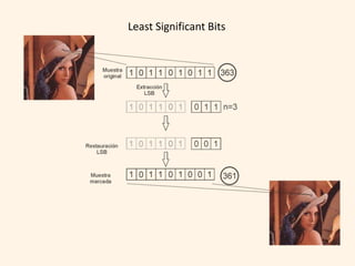 Least Significant Bits
 