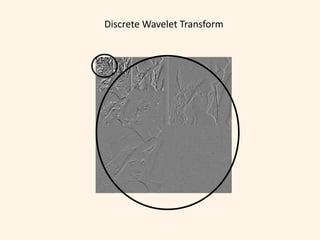 Discrete Wavelet Transform
 