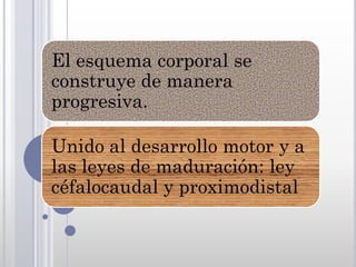 El esquema corporal se
construye de manera
progresiva.

Unido al desarrollo motor y a
las leyes de maduración: ley
céfalocaudal y proximodistal
 
