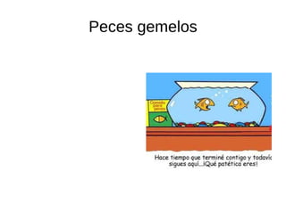 Peces gemelos 