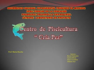 Prof. María Bracho
                         Autores :
                     Bucott Yuliandra
                     García Edwin
                     Duno Geraldine
                     Aldama Ana
 