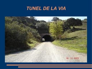 TUNEL DE LA VIA