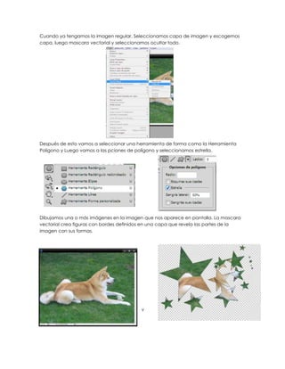 Cuando ya tengamos la imagen regular, Seleccionamos capa de imagen y escogemos
capa, luego mascara vectorial y seleccionamos ocultar todo.




Después de esto vamos a seleccionar una herramienta de forma como la Herramienta
Poligono y Luego vamos a las pciones de polígono y seleccionamos estrella.




Dibujamos una o más imágenes en la imagen que nos aparece en pantalla. La mascara
vectorial crea figuras con bordes definidos en una capa que revela las partes de la
imagen con sus formas.




                                          v
 