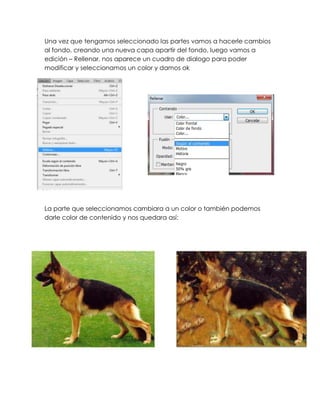 Una vez que tengamos seleccionado las partes vamos a hacerle cambios
al fondo, creando una nueva capa apartir del fondo, luego vamos a
edición – Rellenar, nos aparece un cuadro de dialogo para poder
modificar y seleccionamos un color y damos ok




La parte que seleccionamos cambiara a un color o también podemos
darle color de contenido y nos quedara así:
 