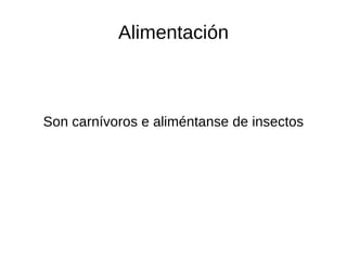 Alimentación



Son carnívoros e aliméntanse de insectos
 