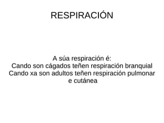 RESPIRACIÓN



             A súa respiración é:
 Cando son cágados teñen respiración branquial
Cando xa son adultos teñen respiración pulmonar
                   e cutánea
 