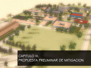 CAPITULO III.
PROPUESTA PRELIMINAR DE MITIGACION
 