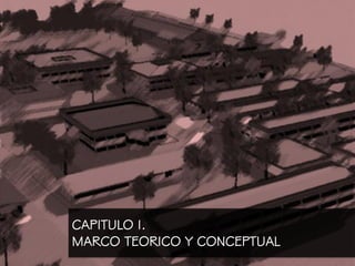 CAPITULO I.
MARCO TEORICO Y CONCEPTUAL
 