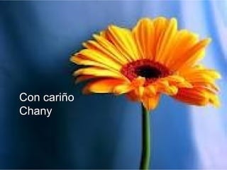 Con cariño
Chany
 
