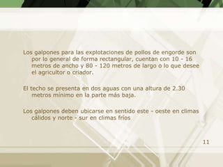 Los galpones para las explotaciones de pollos de engorde son
   por lo general de forma rectangular, cuentan con 10 - 16
   metros de ancho y 80 - 120 metros de largo o lo que desee
   el agricultor o criador.

El techo se presenta en dos aguas con una altura de 2.30
    metros mínimo en la parte más baja.

Los galpones deben ubicarse en sentido este - oeste en climas
   cálidos y norte - sur en climas fríos



                                                                11
 