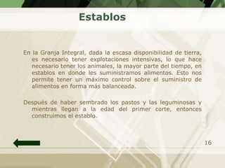 Establos


En la Granja Integral, dada la escasa disponibilidad de tierra,
   es necesario tener explotaciones intensivas, lo que hace
   necesario tener los animales, la mayor parte del tiempo, en
   establos en donde les suministramos alimentos. Esto nos
   permite tener un máximo control sobre el suministro de
   alimentos en forma más balanceada.

Después de haber sembrado los pastos y las leguminosas y
  mientras llegan a la edad del primer corte, entonces
  construimos el establo.



                                                                  16
 