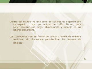 Dentro del establo va una serie de collares de sujeción con
  un espacio o cupo por animal de 1.00-1.20 m., para
  poder realizar una mejor alimentación y manejo en las
  labores del ordeño.

Los comederos son en forma de canoa o batea de manera
   continua, sin divisiones para-facilitar las labores de
  limpieza.




                                                              21
 