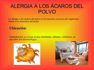 ALERGIA A LOS ÁCAROS DEL POLVO La alergia a los acaros del polvo es la reacción excesiva del organismo frente a los desechos del ácaro Ubicación: Generalmente se uvican el alas almohadas, sábanas, colchones, ya que ellos son dermatófogos.  