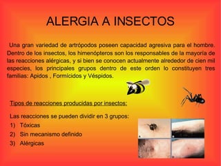 ALERGIA A INSECTOS Una gran variedad de artrópodos poseen capacidad agresiva para el hombre. Dentro de los insectos, los himenópteros son los responsables de la mayoría de las reacciones alérgicas, y si bien se conocen actualmente alrededor de cien mil especies, los principales grupos dentro de este orden lo constituyen tres familias: Apidos , Formícidos y Véspidos. Tipos de reacciones producidas por insectos: Las reacciones se pueden dividir en 3 grupos:  1)     Tóxicas 2)     Sin mecanismo definido  3)     Alérgicas 