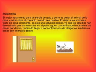 Tratamiento El mejor tratamiento para la alergia de gato y perro es quitar el animal de la casa y evitar otros el contacto cuando sea posible. El dejar a los animales fuera de casa solamente, es sólo una solución parcial, ya que los estudios han demostrado que las mascotas en el patio siguen contaminando lentamente las casas por dentro, pudiendo llegar a concentraciones de alergenos similares a casas con animales dentro.  