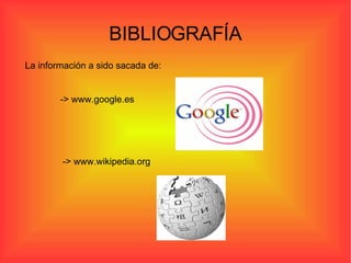 BIBLIOGRAFÍA La información a sido sacada de: -> www.google.es -> www.wikipedia.org 