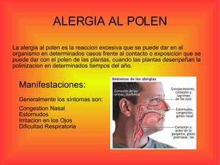 ALERGIA AL POLEN La alergia al polen es la reaccion excesiva que se puede dar en el organismo en determinados casos frente al contacto o exposicion que se puede dar con el polen de las plantas, cuando las plantas desenpeñan la polinizacion en determinados tiempos del año. Manifestaciones: Generalmente los síntomas son: Congestion Nasal  Estornudos  Irritacion en los Ojos  Dificultad Respiratoria  