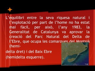 L’equilibri entre la seva riquesa natural i
  l’explotació per part de l’home no ha estat
  mai fàcil, per això, l’any 1983, la
  Generalitat de Catalunya va aprovar la
  creació del Parc Natural del Delta de
  l’Ebre, que ocupa les comarques del Montsià
  (hemi-
delta dret) i del Baix Ebre
(hemidelta esquerre).
 