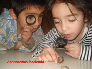 Aprendemos haciendo
 