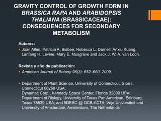 GRAVITY CONTROL OF GROWTH FORM IN
  BRASSICA RAPA AND ARABIDOPSIS
     THALIANA (BRASSICACEAE):
  CONSEQUENCES FOR SECONDARY
           METABOLISM
 Autores:
  Joan Allen, Patricia A. Bisbee, Rebecca L. Darnell, Anxiu Kuang,
   Lanfang H. Levine, Mary E. Musgrave and Jack J. W. A. van Loon.

 Revista y año de publicación:
  American Journal of Botany 96(3): 652–660. 2009.

  Department of Plant Science, University of Connecticut, Storrs,
   Connecticut 06269 USA;
   Dynamac Corp., Kennedy Space Center, Florida 32899 USA;
   Department of Biology, University of Texas Pan American, Edinburg,
   Texas 78539 USA; and 5DESC @ OCB-ACTA, Vrije Universiteit and
   University of Amsterdam, Amsterdam, The Netherlands
 