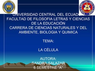 UNIVERSIDAD CENTRAL DEL ECUADOR
FACULTAD DE FILOSOFIA LETRAS Y CIENCIAS
DE LA EDUCACIÓN
CARRERA DE CIENCIAS NATURALES Y DEL
AMBIENTE, BIOLOGIA Y QUIMICA
TEMA:
LA CÉLULA
AUTORA:
SANDRA SALAZAR
6 SEMESTRE “A”
 