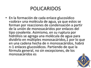 POLICARIDOS
• En la formación de cada enlace glucosídico
«sobra» una molécula de agua, ya que estos se
forman por reacciones de condensación a partir
de la unión de monosacáridos por enlaces del
tipo covalente. Asimismo, en su ruptura por
hidrólisis se agrega una molécula de agua para
dividirlo en múltiples monosacáridos,1 por lo que
en una cadena hecha de n monosacáridos, habrá
n-1 enlaces glucosídicos. Partiendo de que la
fórmula general, no sin excepciones, de los
monosacáridos es
 
