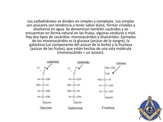 Los carbohidratos se dividen en simples y complejos. Los simples
son azúcares con tendencia a tener sabor dulce, formar cristales y
disolverse en agua. Se denominan también sacáridos y se
encuentran en forma natural en las frutas, algunas verduras y miel.
Hay dos tipos de sacáridos: monosacáridos y disacáridos. Ejemplos
de los monosacáridos es la glucosa (azúcar de la sangre), la
galactosa (un componente del azúcar de la leche) y la fructosa
(azúcar de las frutas), que están hechas de una sola molécula
(monosacárido = un azúcar).
 