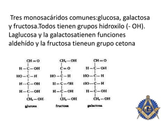 Tres monosacáridos comunes:glucosa, galactosa
y fructosa.Todos tienen grupos hidroxilo (- OH).
Laglucosa y la galactosatienen funciones
aldehído y la fructosa tieneun grupo cetona
 