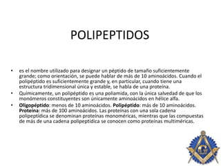 POLIPEPTIDOS
• es el nombre utilizado para designar un péptido de tamaño suficientemente
grande; como orientación, se puede hablar de más de 10 aminoácidos. Cuando el
polipéptido es suficientemente grande y, en particular, cuando tiene una
estructura tridimensional única y estable, se habla de una proteína.
• Químicamente, un polipéptido es una poliamida, con la única salvedad de que los
monómeros constituyentes son únicamente aminoácidos en hélice alfa.
• Oligopéptido: menos de 10 aminoácidos. Polipéptido: más de 10 aminoácidos.
Proteína: más de 100 aminoácidos. Las proteínas con una sola cadena
polipeptídica se denominan proteínas monoméricas, mientras que las compuestas
de más de una cadena polipeptídica se conocen como proteínas multiméricas.
 