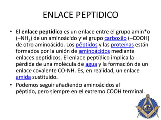 ENLACE PEPTIDICO
• El enlace peptídico es un enlace entre el grupo amin*o
(–NH2) de un aminoácido y el grupo carboxilo (–COOH)
de otro aminoácido. Los péptidos y las proteínas están
formados por la unión de aminoácidos mediante
enlaces peptídicos. El enlace peptídico implica la
pérdida de una molécula de agua y la formación de un
enlace covalente CO-NH. Es, en realidad, un enlace
amida sustituido.
• Podemos seguir añadiendo aminoácidos al
péptido, pero siempre en el extremo COOH terminal.
 