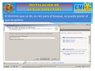El dominio que se de, es raiz para el bosque, se puede poner el
que se quiera.
 