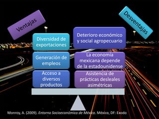 Asistencia de
prácticas desleales
asimétricas
La economía
mexicana depende
de la estadounidense
Deterioro económico
y social agropecuario
Acceso a
diversos
productos
Generación de
empleos
Diversidad de
exportaciones
Monroy, A. (2009). Entorno Socioeconómico de México. México, DF: Exodo
 