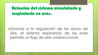 Relación del sistema circulatorio y
respiratorio en aves.
Gracias a la regulación de los sacos de
aire, el sistema respiratorio de las aves
permite un flujo de aire unidireccional.
 