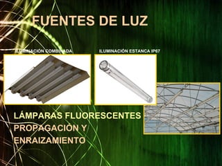 FUENTES DE LUZ
LÁMPARAS FLUORESCENTES
PROPAGACIÓN Y
ENRAIZAMIENTO
ILUMINACIÓN COMBINADA ILUMINACIÓN ESTANCA IP67
 