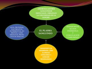 EL PLASMA
SANGUINEO
AGUA, PROTEINAS,
ELECTROLITOS,
NUTRIMENTOS, HO
RMONAS, GASES
DISUELTOS, PRODU
CTOS DE DESECHO.
AMORTIGUADORES
SANGUINEOS
ESENCIALES. ORIGINAN
LA VISCOSIDAD DE LA
SANGRE.
TRANSPORTAR,
ACCION
ENZIMATICA
Y
COAGULACION
E INMUNIDAD.
TRANSPORTE DE
MEMBRANA, OSM
OLARIDAD
SANGUINEA Y
FUNCION
NEUROLOGICA
 