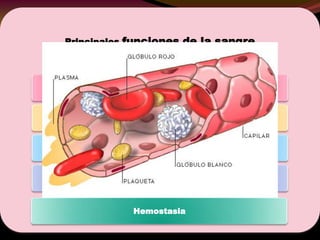 Principales funciones de la sangre
Transporte
Regulación acidobásica
Termorregulación
Inmunidad
Hemostasia
 