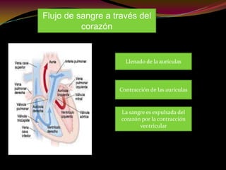 Flujo de sangre a través del
corazón
Llenado de la aurículas
Contracción de las aurículas
La sangre es expulsada del
corazón por la contracción
ventricular
 