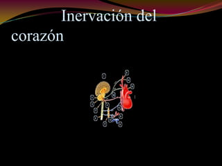 Inervación del
corazón
 