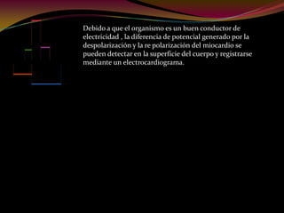 Debido a que el organismo es un buen conductor de
electricidad , la diferencia de potencial generado por la
despolarización y la re polarización del miocardio se
pueden detectar en la superficie del cuerpo y registrarse
mediante un electrocardiograma.
 