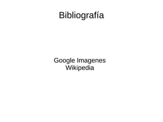 Bibliografía

Google Imagenes
Wikipedia

 