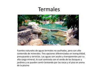 Termales

Fuentes naturales de aguas termales no azufradas, pero con alto
contenido de minerales. Tres opciones diferenciadas en tranquilidad,
presupuesto y servicios. Las aguas son azules y transparentes por su
alta carga mineral, lo cual contrasta con el verde de los bosques y
jardines y se pueden sentir brotando por las rocas y el piso en arena
de la piscina

 
