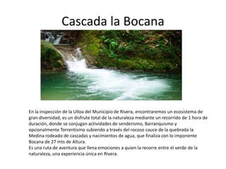 Cascada la Bocana

En la inspección de la Ulloa del Municipio de Rivera, encontraremos un ecosistema de
gran diversidad, es un disfrute total de la naturaleza mediante un recorrido de 1 hora de
duración, donde se conjugan actividades de senderismo, Barranquismo y
opcionalmente Torrentismo subiendo a través del rocoso cauce de la quebrada la
Medina rodeado de cascadas y nacimientos de agua, que finaliza con lo imponente
Bocana de 27 mts de Altura.
Es una ruta de aventura que llena emociones a quien la recorre entre el verde de la
naturaleza, una experiencia única en Rivera.

 