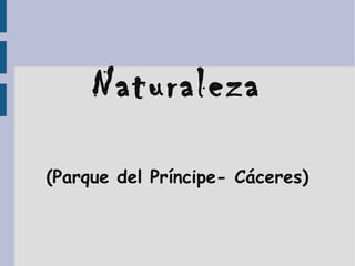 Naturaleza
(Parque del Príncipe- Cáceres)

 