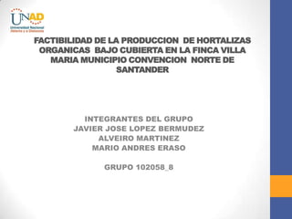 FACTIBILIDAD DE LA PRODUCCION DE HORTALIZAS
ORGANICAS BAJO CUBIERTA EN LA FINCA VILLA
MARIA MUNICIPIO CONVENCION NORTE DE
SANTANDER

INTEGRANTES DEL GRUPO
JAVIER JOSE LOPEZ BERMUDEZ
ALVEIRO MARTINEZ
MARIO ANDRES ERASO
GRUPO 102058_8

 