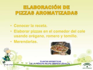 Presentacion plantas aromáticas