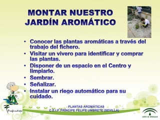 Presentacion plantas aromáticas
