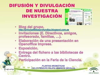 Presentacion plantas aromáticas