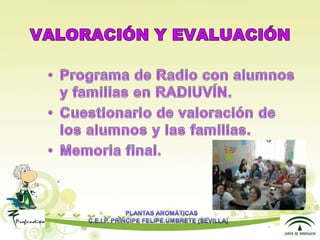 Presentacion plantas aromáticas
